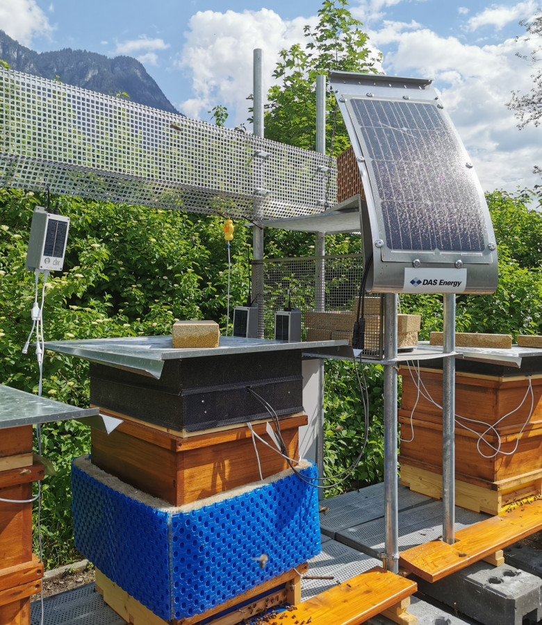 DAS Energy Solarmodule für „Bienenkachelöfen“